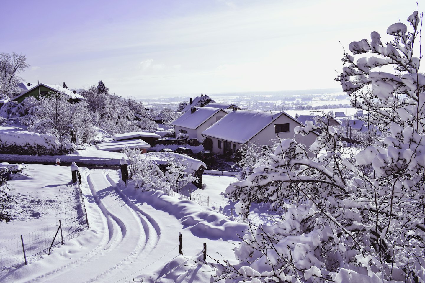 Snow-covered houses with bare trees on a winter day.